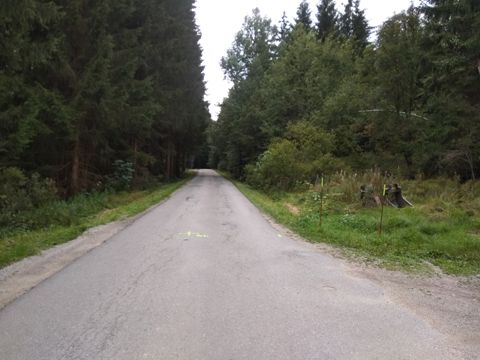 Foto 40